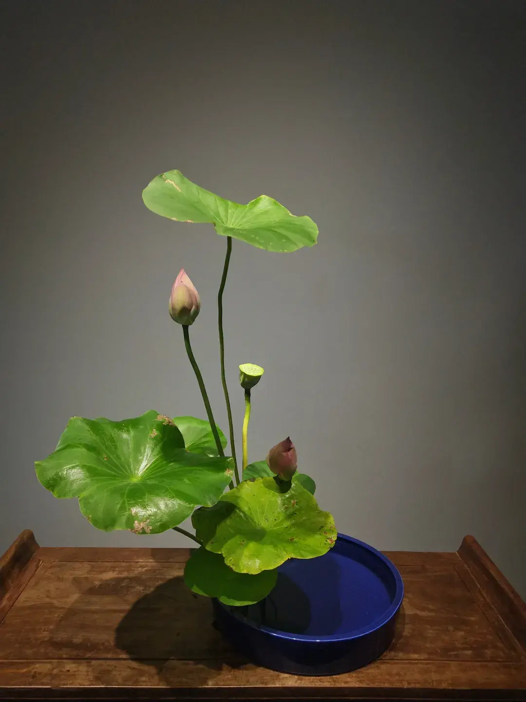 看名师插的荷花，感受今夏最美诗情（荷花插花画）