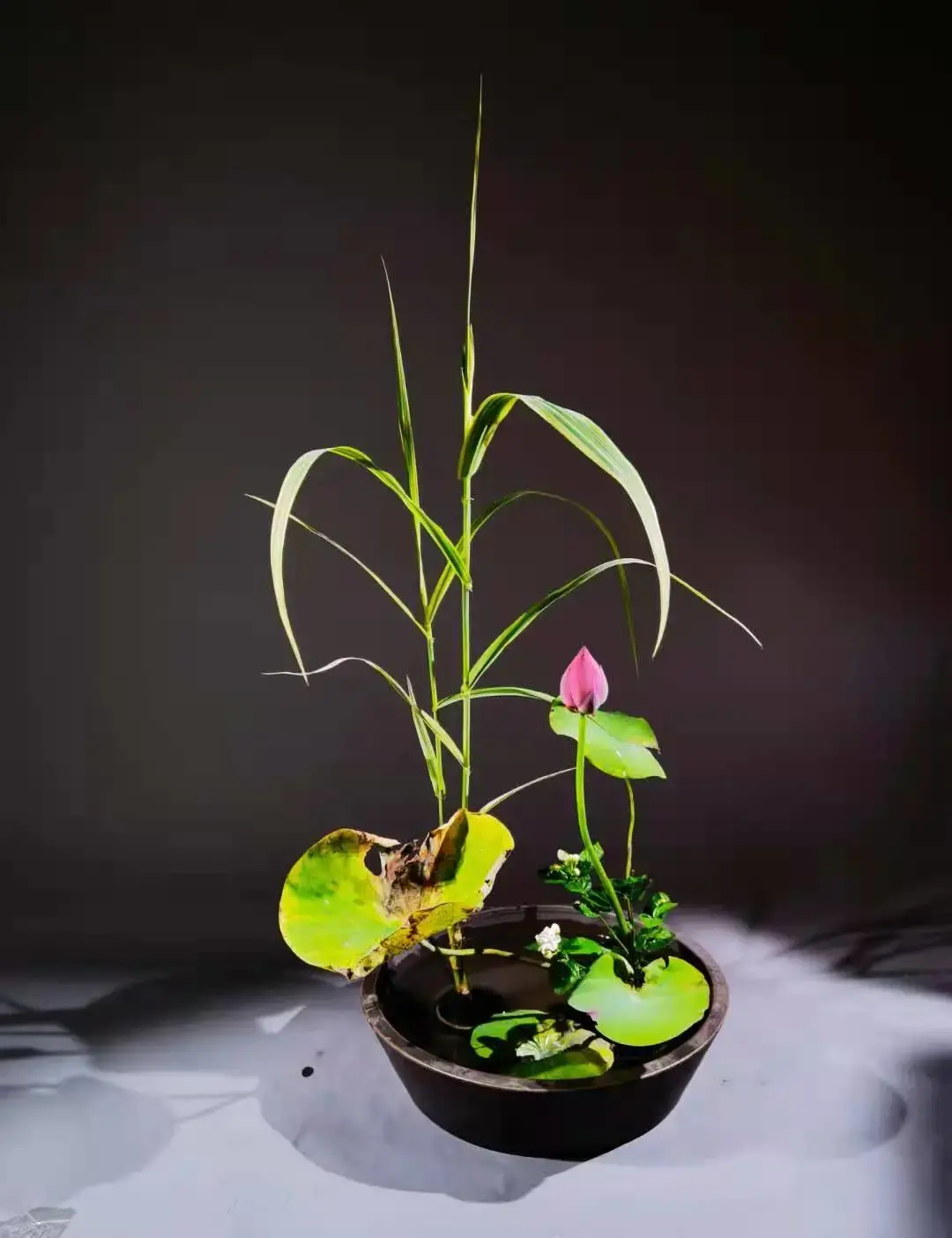 看名师插的荷花，感受今夏最美诗情（荷花插花画）