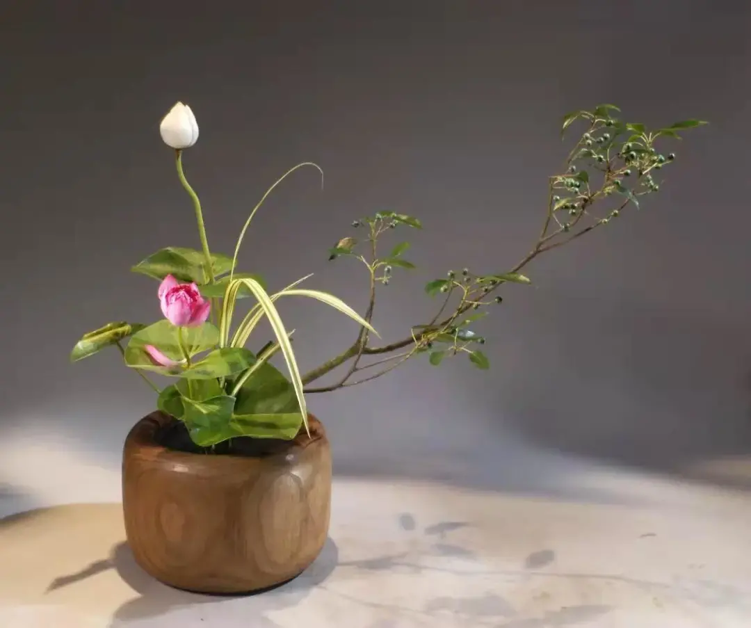 看名师插的荷花，感受今夏最美诗情（荷花插花画）