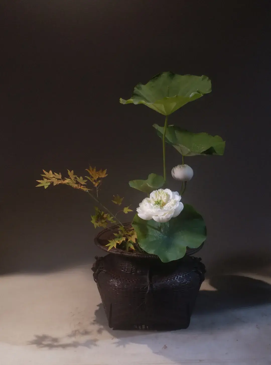 看名师插的荷花，感受今夏最美诗情（荷花插花画）