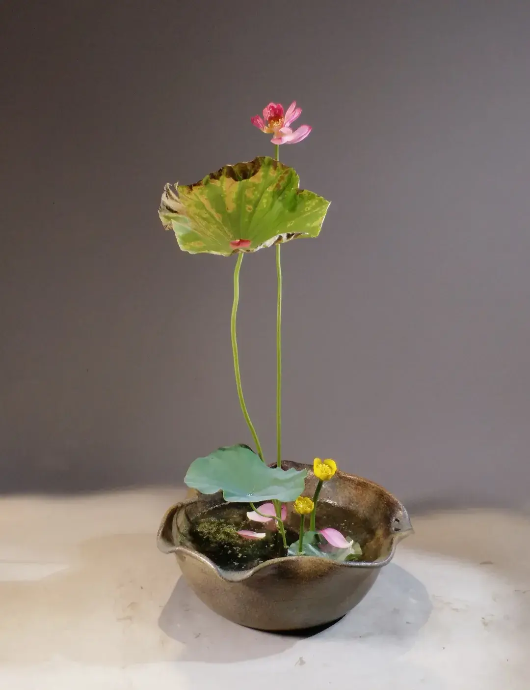 看名师插的荷花，感受今夏最美诗情（荷花插花画）