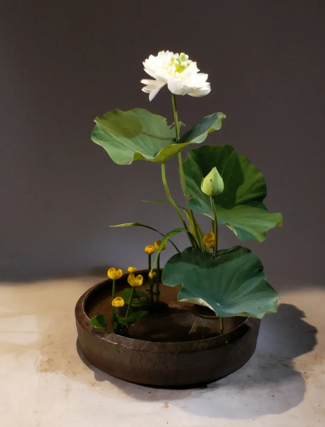 看名师插的荷花，感受今夏最美诗情（荷花插花画）