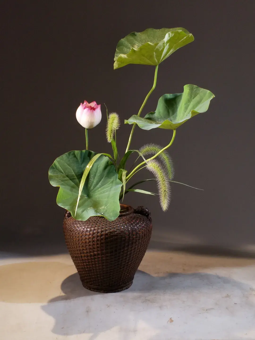 看名师插的荷花，感受今夏最美诗情（荷花插花画）