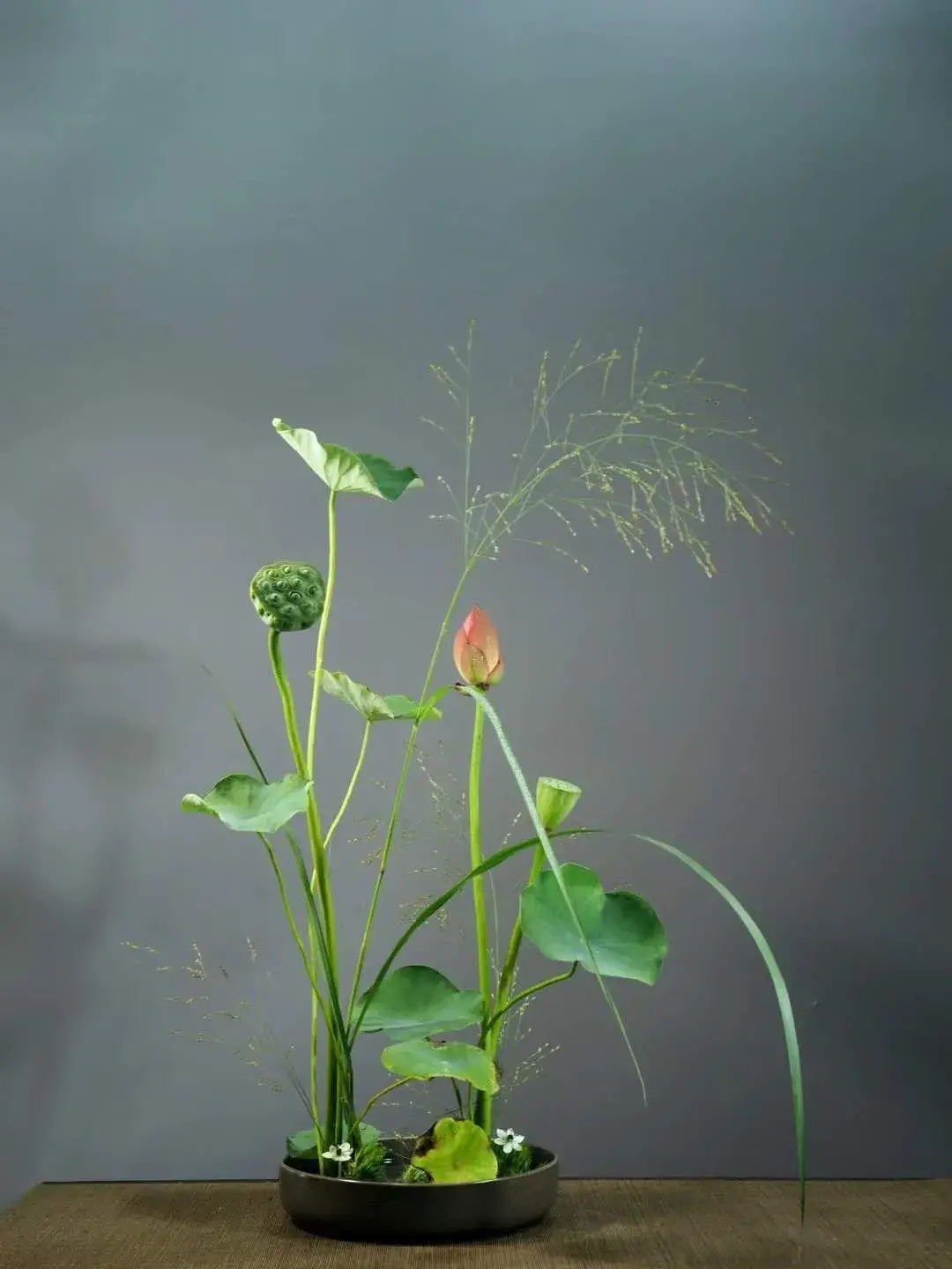 看名师插的荷花，感受今夏最美诗情（荷花插花画）