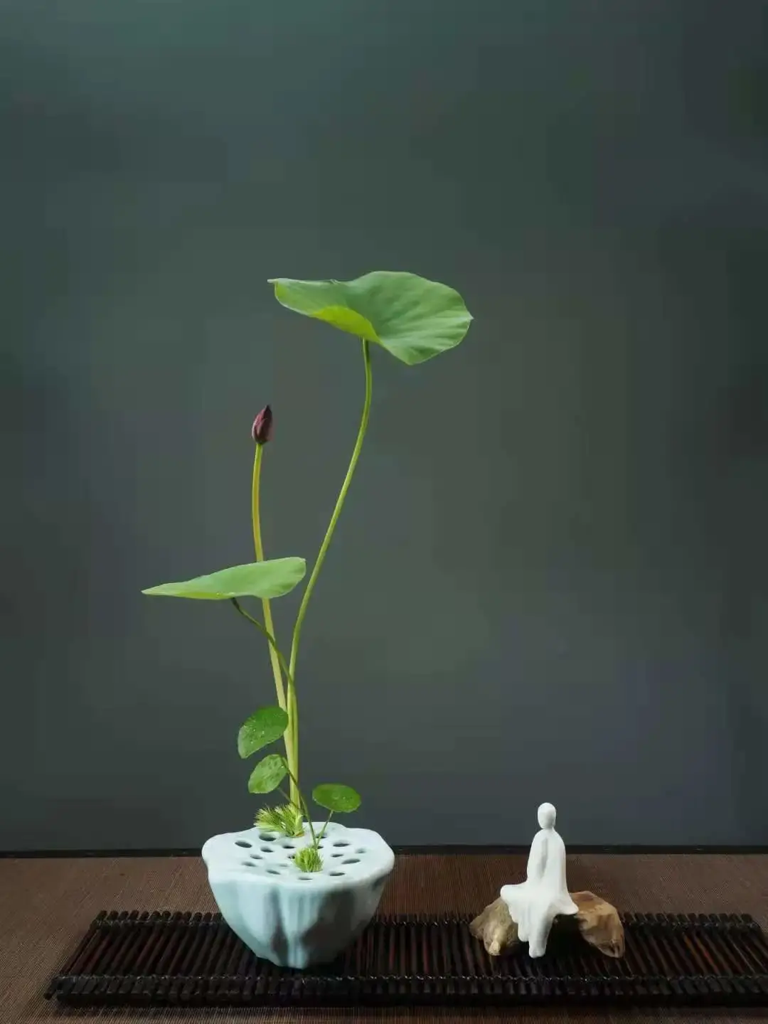 看名师插的荷花，感受今夏最美诗情（荷花插花画）