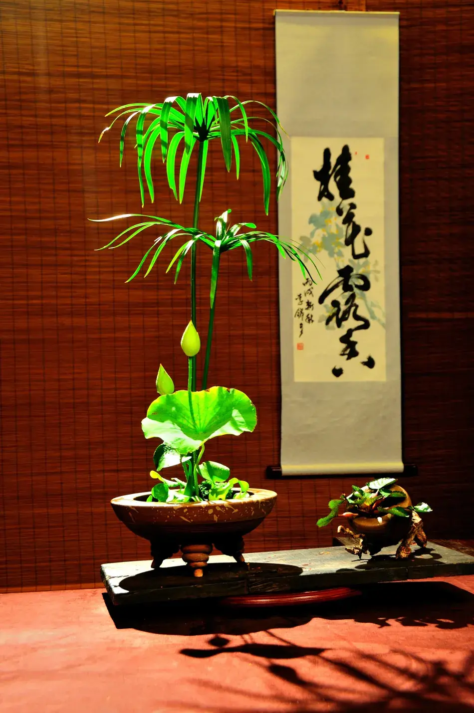 看名师插的荷花，感受今夏最美诗情（荷花插花画）