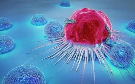 坚持天天吃“大蒜”的人，最后都怎么样了？生吃好还是熟吃好？-吃大蒜的好处与坏处,吃生大蒜有什么现象