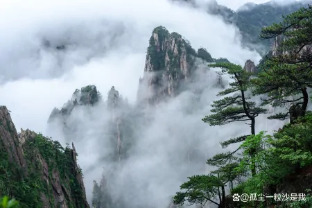 寻找黄山美食的扛把子，你心中的NO.1是它吗？-黄山特色美食攻略