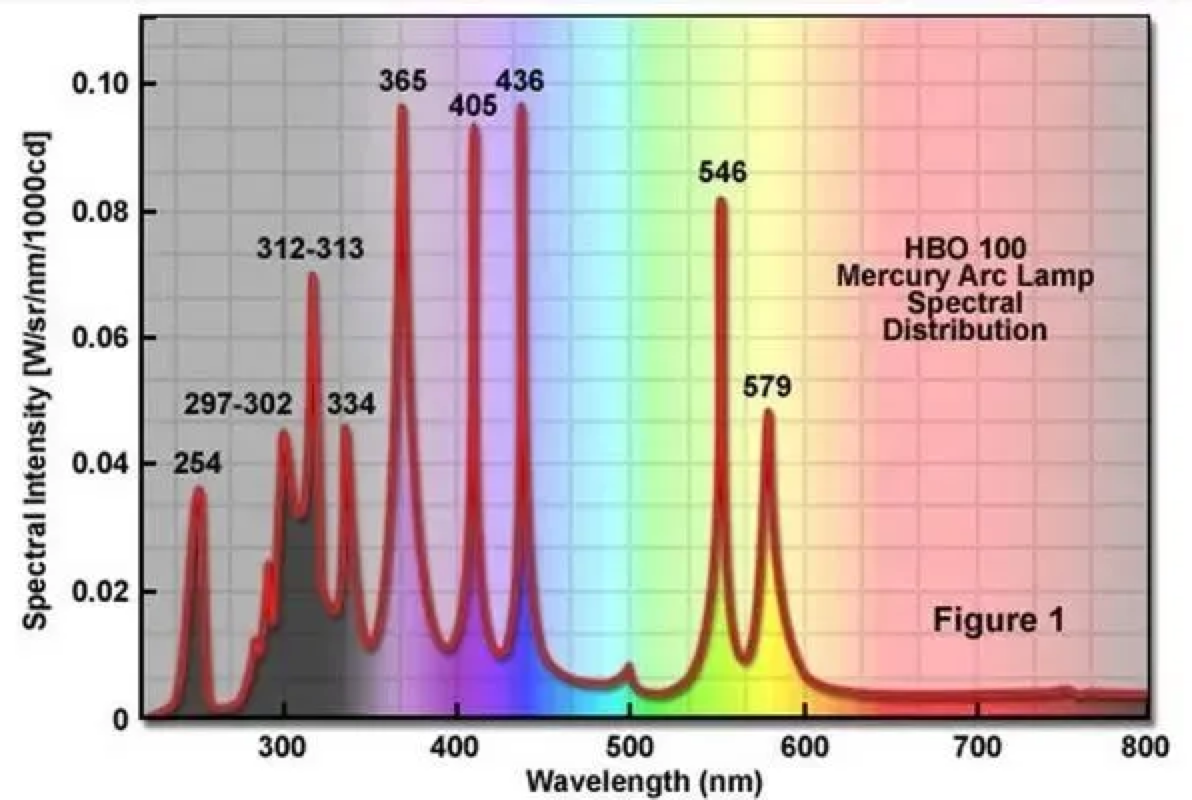 中石化上市了一款绿色的汽油？对比一下所有品牌油站最顶级的汽油-中石化绿色汽油