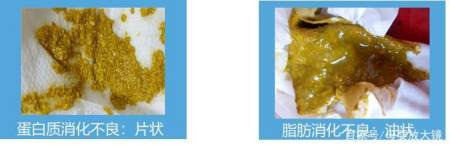 凶猛！这种“夏季腹泻”可能要娃的小命！如何呵护宝宝肠道健康？（夏季小儿腹泻是什么病毒感染）