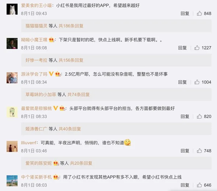 全平台下架，小红书怎么了？（小红书回应全面下架什么意思）