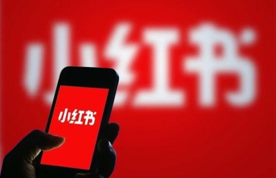 毫无意外小红书又崩了！网友调侃：那我去哪儿摸鱼（小红书 lovely cat）