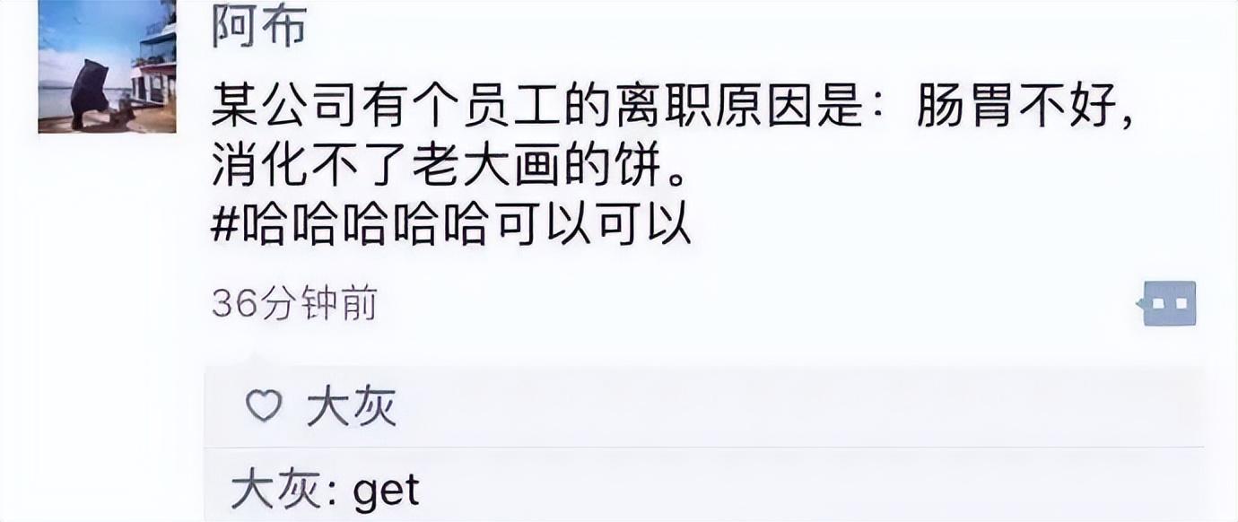 小红书，又失败了？（小红书里面好乱）