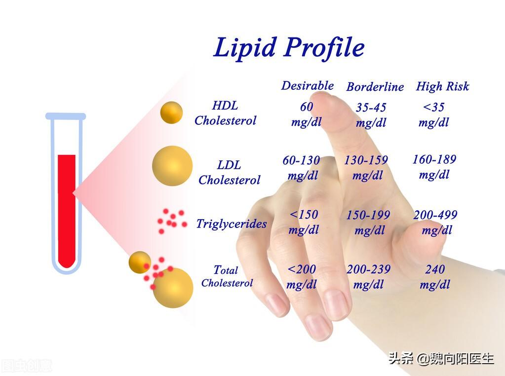 甘油三酯（TG）升高需不需要吃降脂药？（脑卒中科普系列16）-甘油三酯(TG)升高、低密度脂蛋白增高