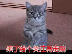 献血是一种怎样的体验？（献血是一种怎样的体验和感受）