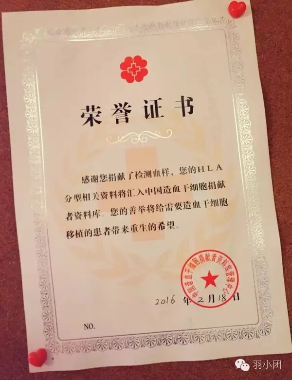 献血是怎样一种体验 ？  拓展生命的维度（献血细节过程视频）