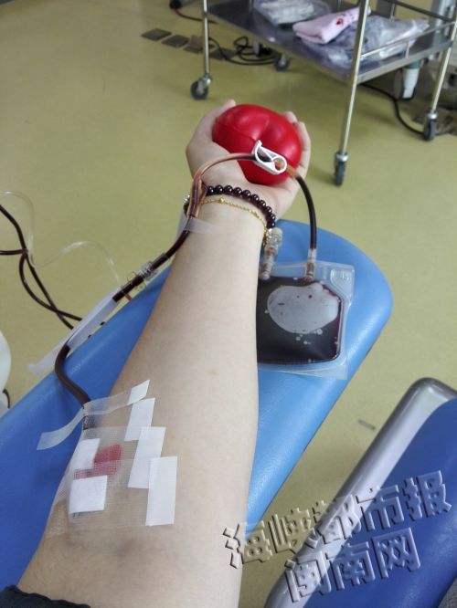 海都记者亲历献血告诉你 献血小板是什么感觉（图）（献血小板有危害吗女性）