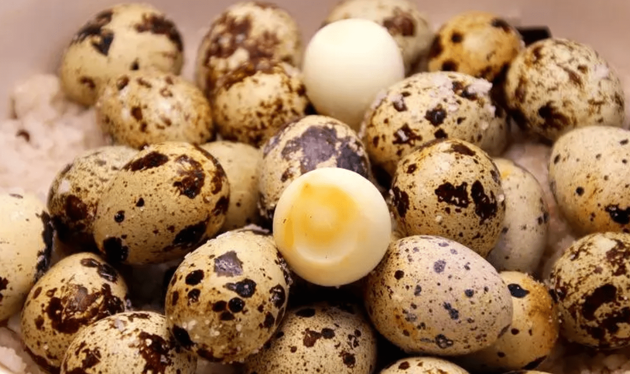 一天三顿饭，别光吃鸡蛋了！夏季吃这3种蛋，营养价值超过鸡蛋（一天三顿吃鸡蛋可以减肥吗）