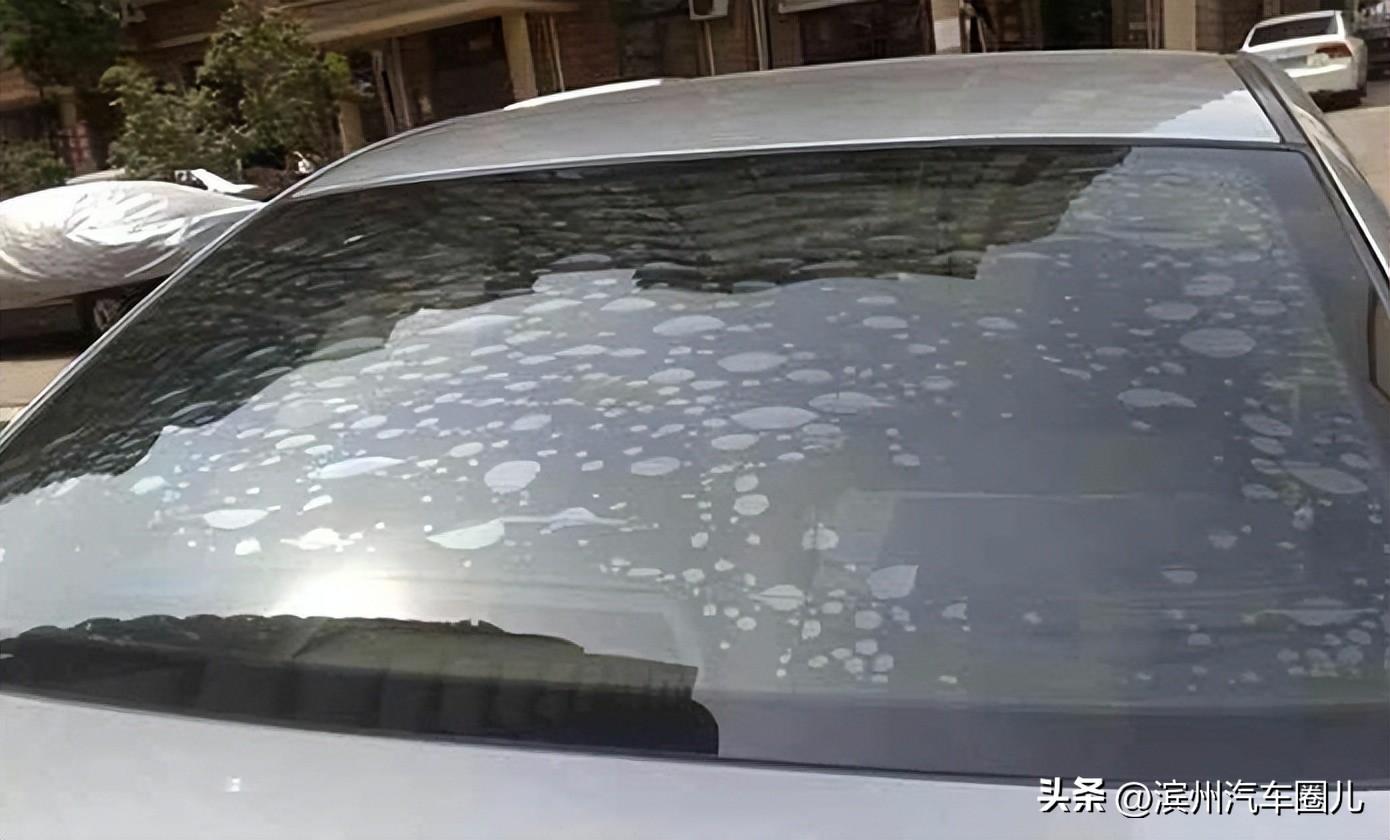 关于汽车贴膜，我有话要说-从事汽车贴膜的危害