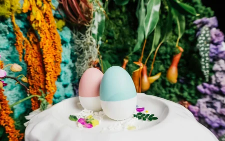 推出3.5元低价雪糕，钟薛高为何“降价”了（钟薛高雪糕怎么火起来的）