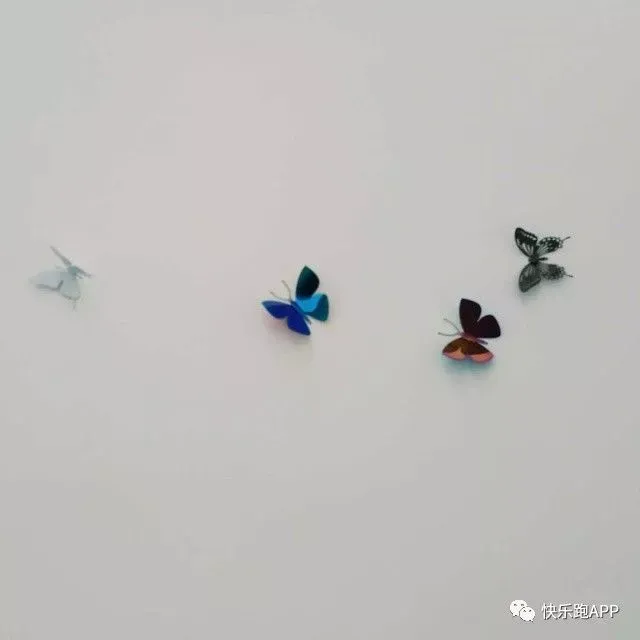 乐小点笔记 | 遇见798-乐点点app骗局