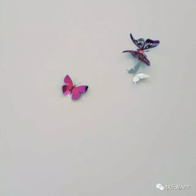 乐小点笔记 | 遇见798-乐点点app骗局