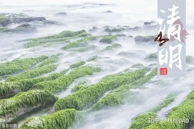 中国传统节日：清明节·公历4月4日~4月6日（清明节我国传统节日的特点）