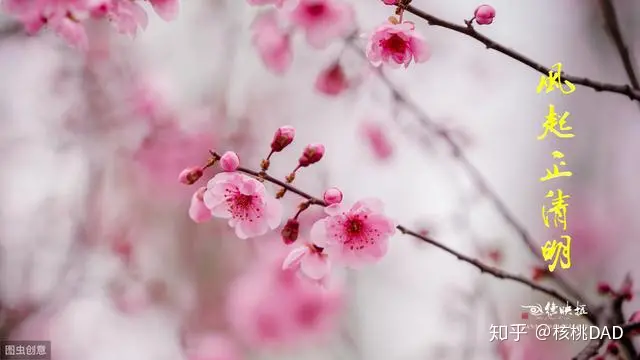中国传统节日：清明节·公历4月4日~4月6日（清明节我国传统节日的特点）