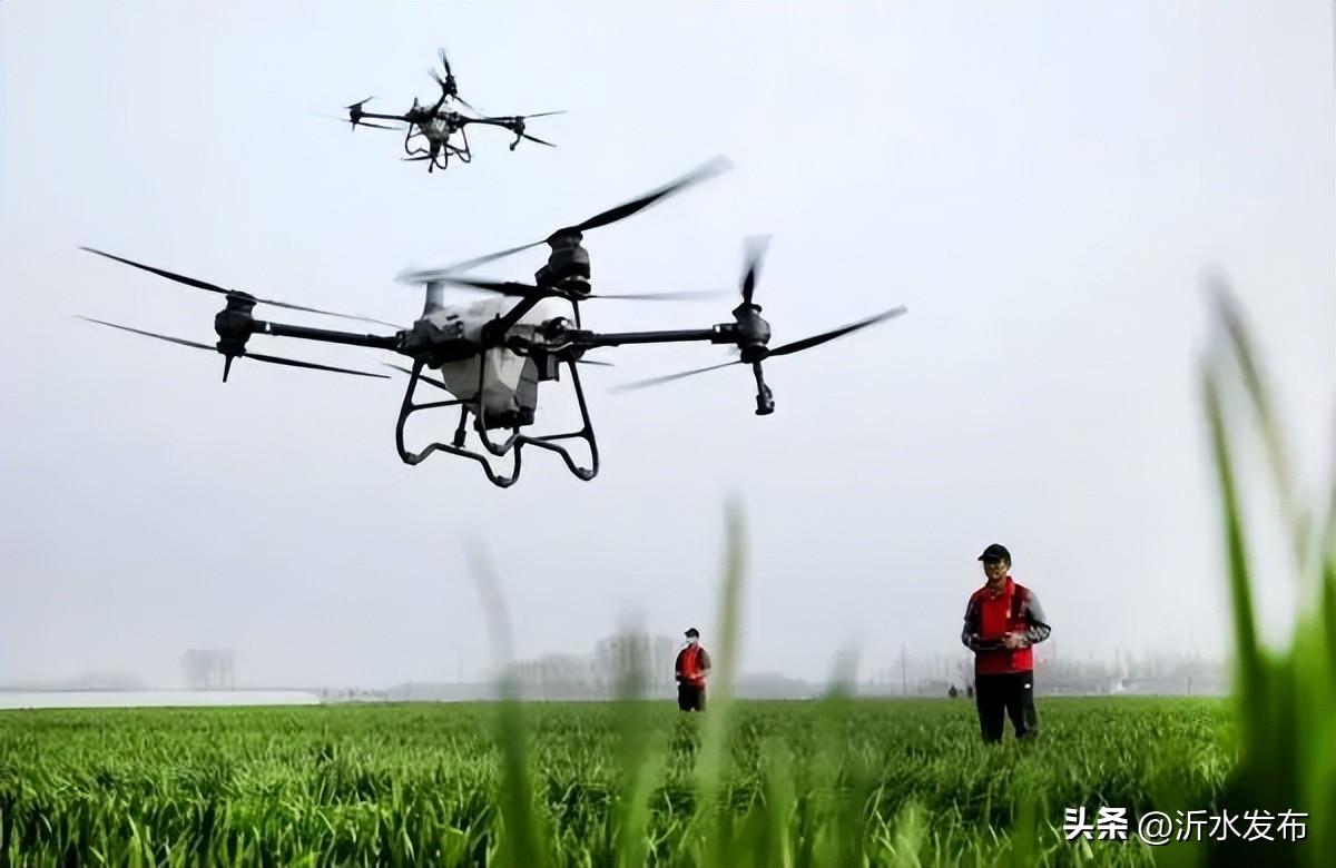 #网络中国节·清明#关于清明节，还有这些你不知道的习俗（帮我搜一下关于清明节）