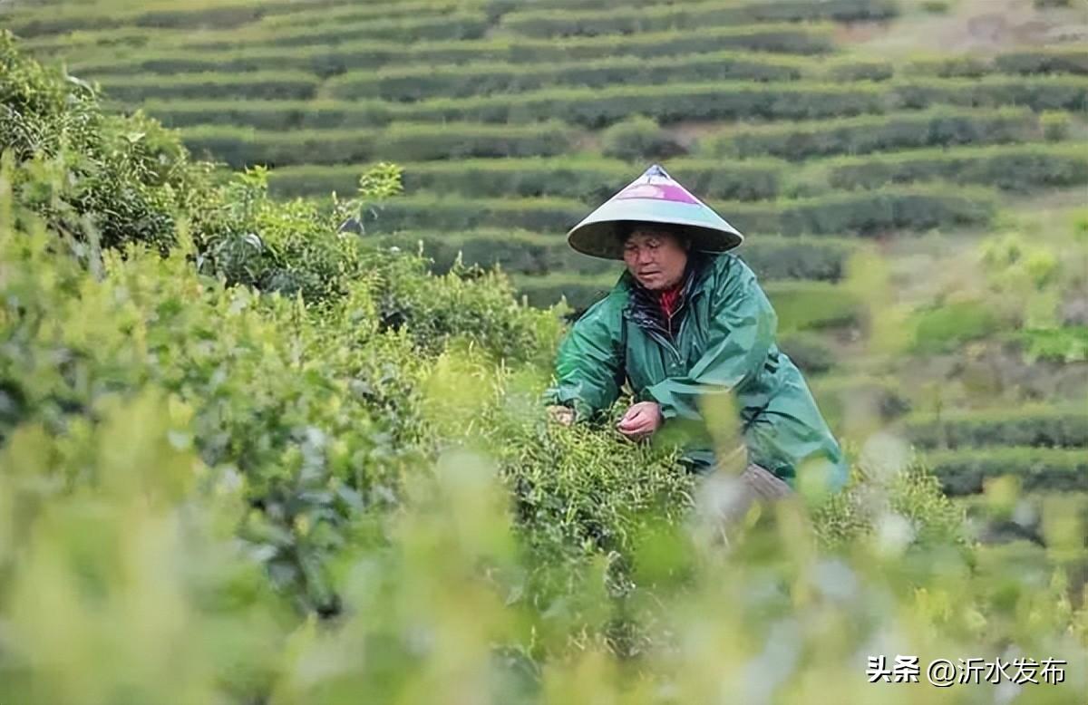 #网络中国节·清明#关于清明节，还有这些你不知道的习俗（帮我搜一下关于清明节）