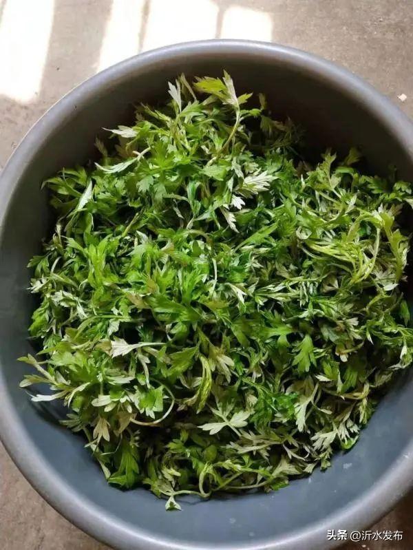 #网络中国节·清明#关于清明节，还有这些你不知道的习俗（帮我搜一下关于清明节）