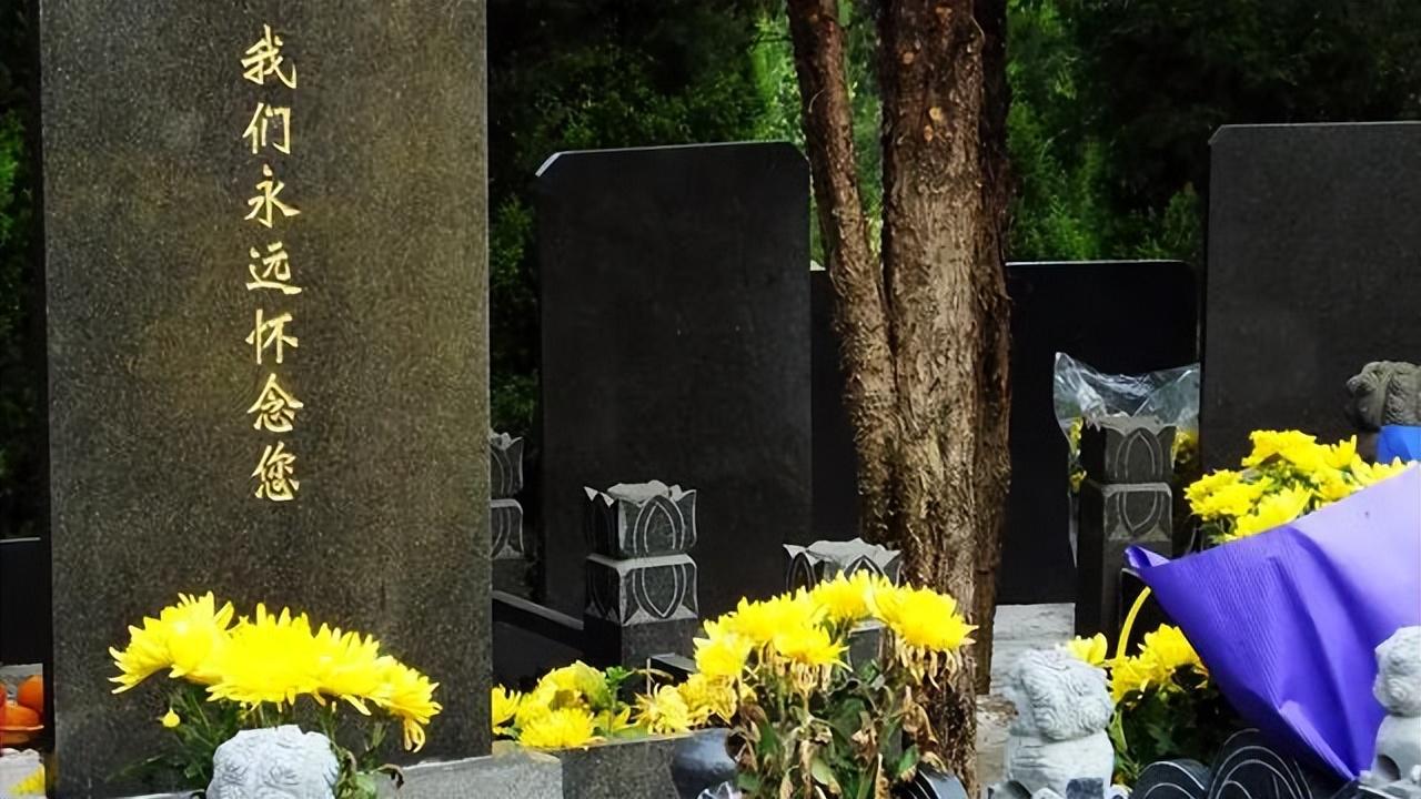 今年清明不一般，老人说：“清明碰闰月，上坟三注意”，注意啥？（今年清明当天上坟好吗）