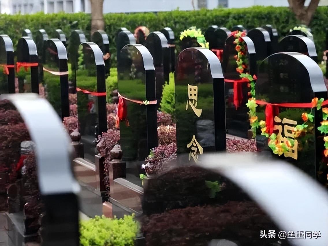 今年清明不一般“三节遇三巳，两大祭日相交”，何时扫墓祭祖为好（今年哪两个节日在同一天）