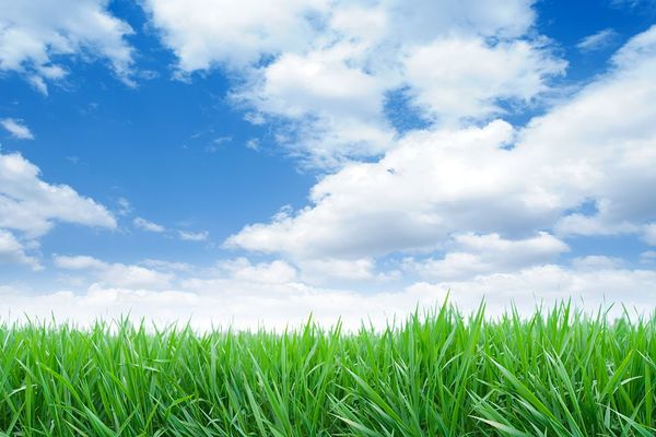 大暑是几月几日 大暑的由来是什么（大暑是什么时候2022年）