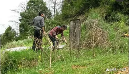 今年清明节逢闰二月，老人说：闰月清明不上坟，这是真的吗（闰月不添坟）