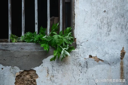 今年端午不一般，“夏至逢端午，3人要躲午”？3人指的谁？该咋躲（今年端午节今年）