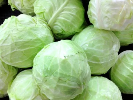 夏天必备包菜，实惠营养，容易保存，好吃到停不下来！-包菜的保鲜方法与流程