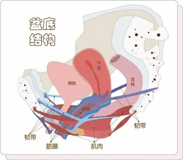 产后有必要做产后修复吗？花钱做产后修复是不是等于交“智商税”？-有没有必要花钱做产后修复