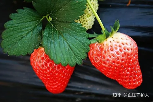 降血压十大水果（降血压十大水果蔬菜菠菜）