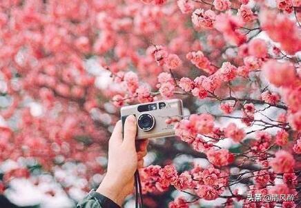 2023高三加油励志短句-高三加油语录简短霸气