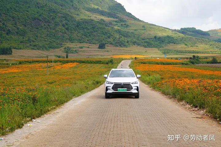 唐DM-i每天一个小技巧，用车没烦恼——轮胎故障处理补胎液的使用-唐dm换胎后胎压监测信号异常