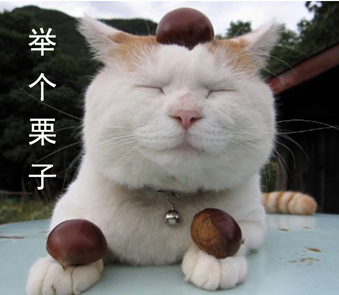 怎样写好求职简历？（如何写求职简历范文）