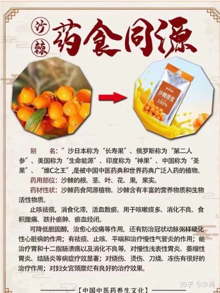 沙棘原浆功效与作用，沙棘原浆用量（沙棘原浆功效作用与主治）