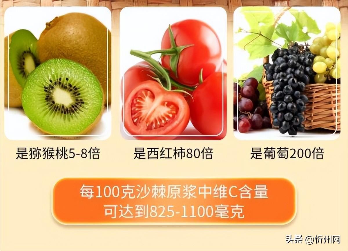 沙棘原浆真的那么好吗？为什么全球养生人士都在抢购！（沙棘原浆有何药效）