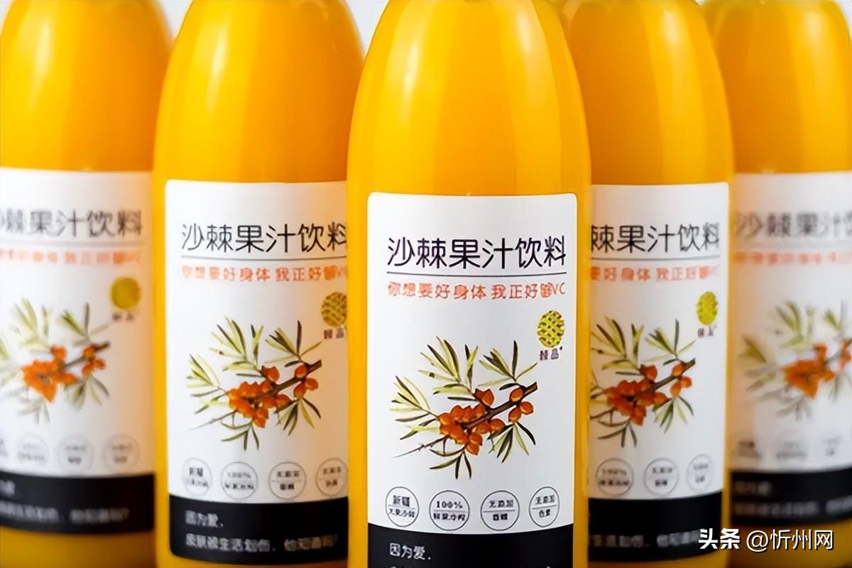 沙棘原浆真的那么好吗？为什么全球养生人士都在抢购！（沙棘原浆有何药效）