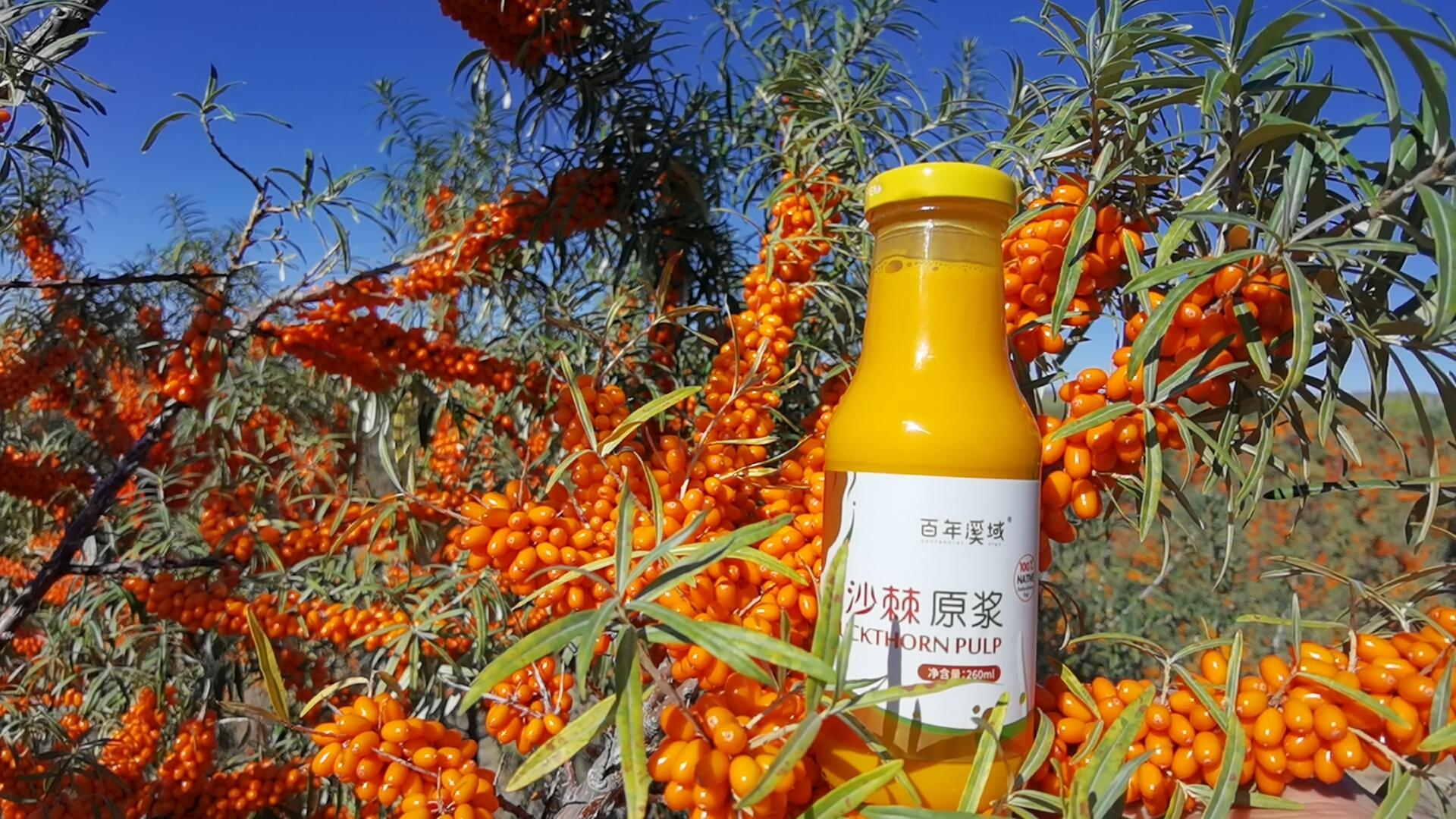 沙棘原浆那么好，是饭前喝，还是饭后喝？（沙棘原浆饭前还是饭后喝好）