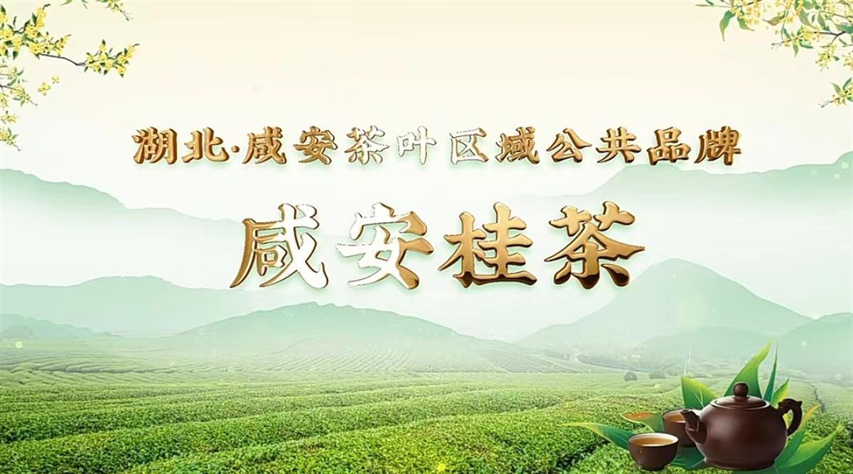 区域公共品牌“咸安桂茶”诞生！咸安茶叶有了“集体商标”-咸安行政区划