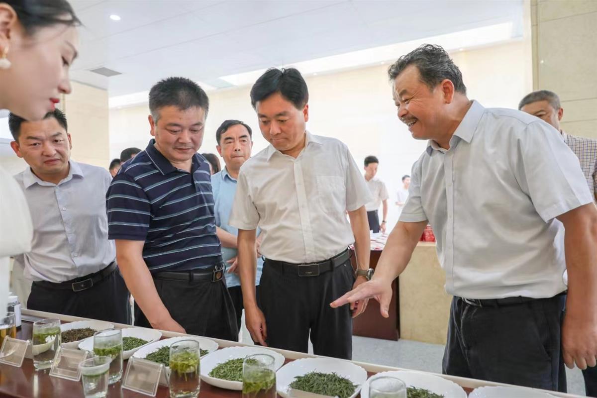 区域公共品牌“咸安桂茶”诞生！咸安茶叶有了“集体商标”-咸安行政区划