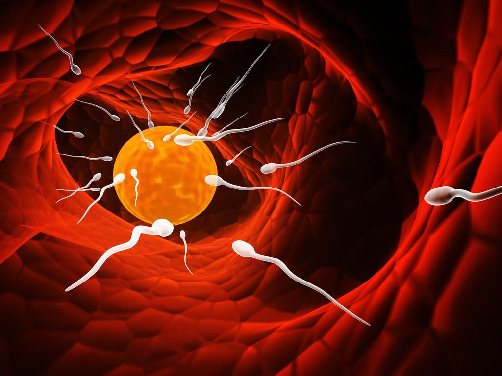 怀孕最快几天可以知道？特殊时期有哪些特殊注意？备孕夫妻早了解-怀孕最快几天可以测出