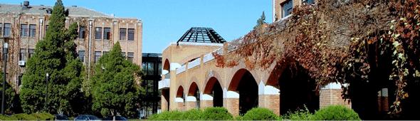 大视场虚拟现实光学系统设计（光素虚拟机）